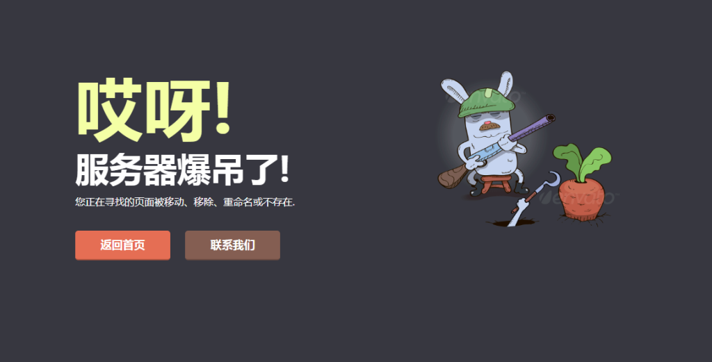 守萝卜的兔子404错误页面网站源码电脑端