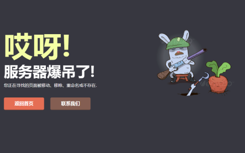 守萝卜的兔子404错误页面网站源码