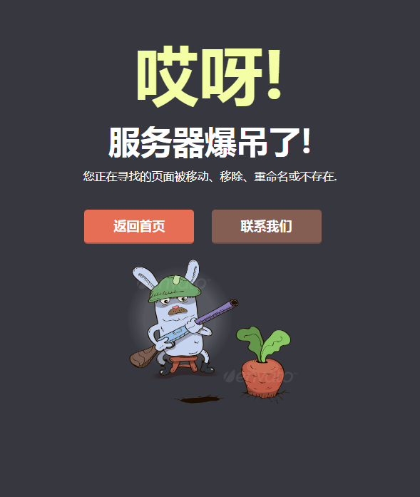 守萝卜的兔子404错误页面网站源码手机端