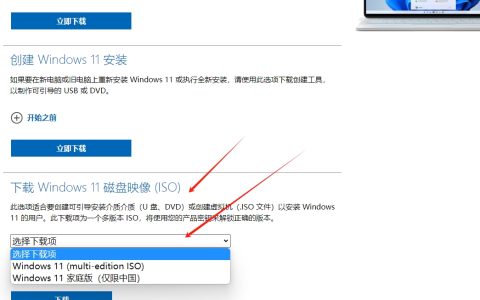 微软官方 Windows 11 系统镜像不限速下载教程