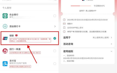 网上国网App使用云闪付缴费 满20元减2元