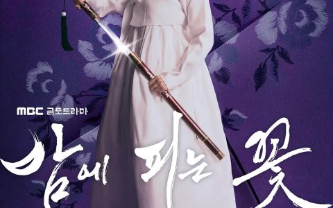 韩剧《夜晚开的花》12集全 夸克网盘下载