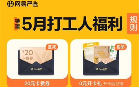 网易严选买1得10活动 129元购买10个会员