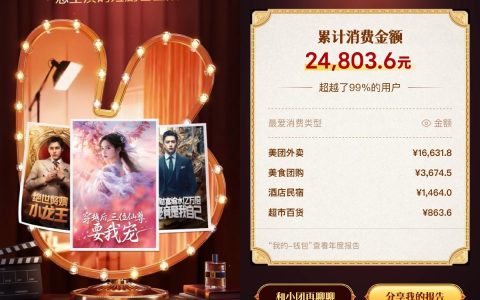 快来查看你的美团2024年度消费报告