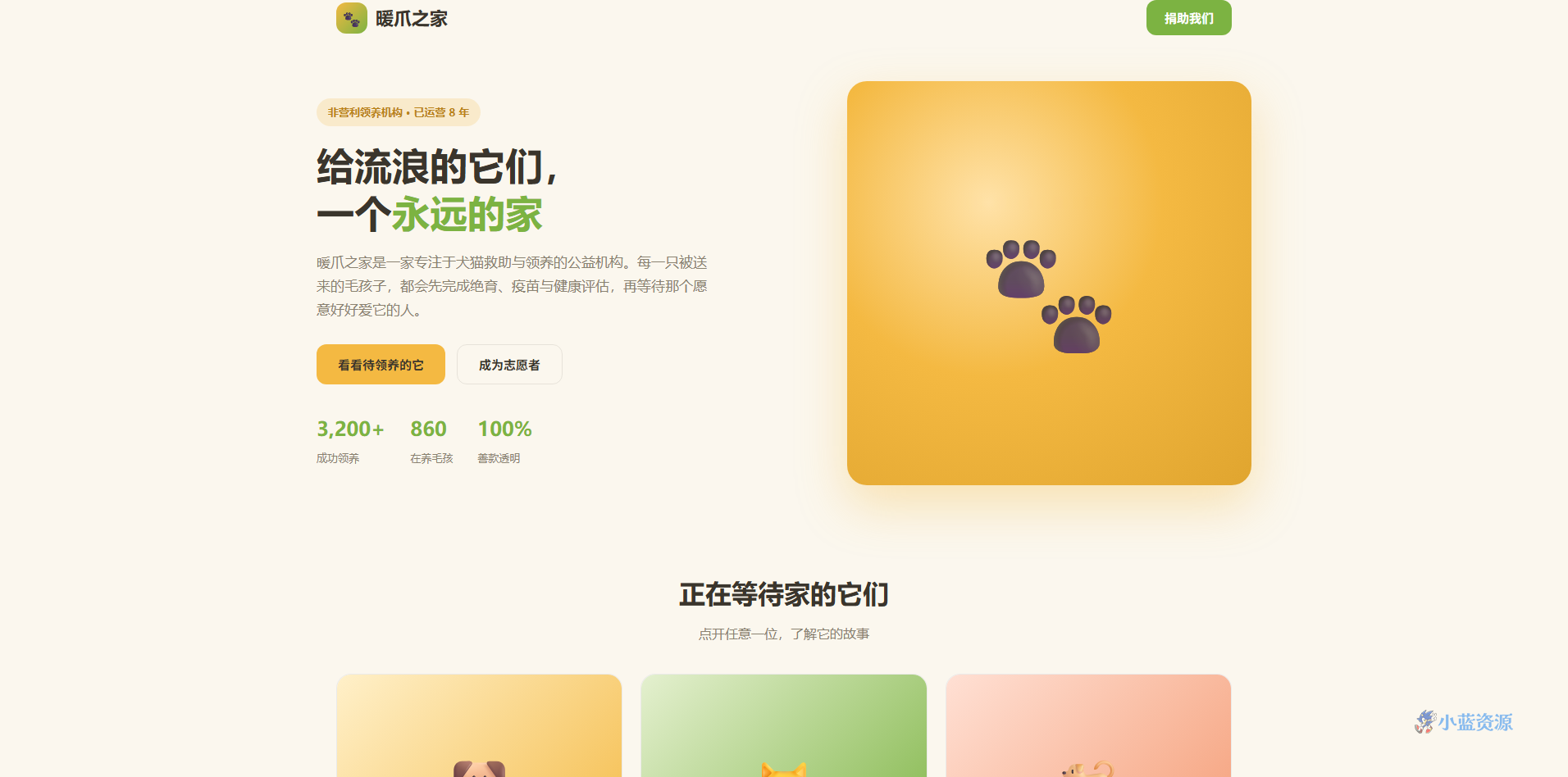 暖爪之家宠物领养公益页 HTML 单页源码