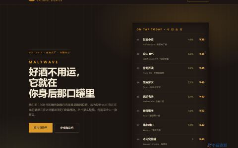 麦浪 MALTWAVE 精酿啤酒屋 HTML 单页源码